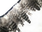 Bild 93 von 130