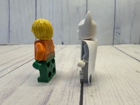 Lego #76000 ~ Arctic Batman vs. Mr. Freeze Aquaman on Ice ~ Missing Mr. Freeze
