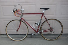 Rare TREK Campagnolo TI Reynolds 531 Road Bike 14 Speed Bicycle 24" Frame