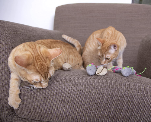 Smartykat Skitter Critters Value Pack Catnip Cat Toys - Gray/Cream, Set of 10 - Picture 5 of 12