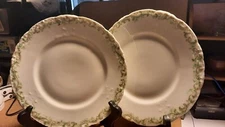 2 Theodore De Havilland Limoge Plates Dessert Or Salad 8" Plate.