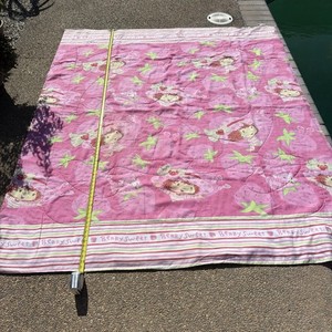 CUTE Strawberry Shortcake Twin Comforter 73x86 Good Condition see photos