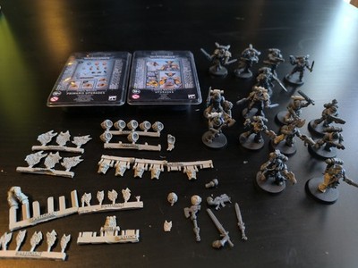 Warhammer 40k Space Wolves Primaris Marines, Wolfsrudel und Upgradekits