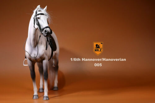Figura MrZ 1/6 Alemania Hannover Caballo Hannover Animal Modelo Escala 12" EN STOCK - Imagen 44 de 46