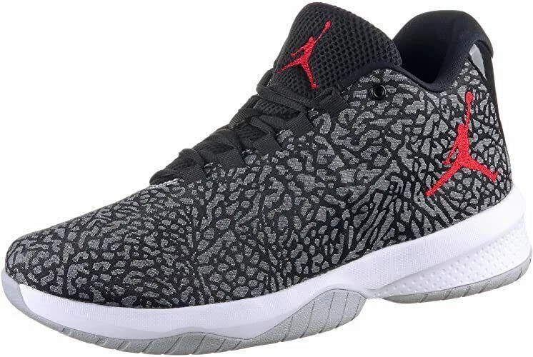 Принт слона Jordan B. Fly