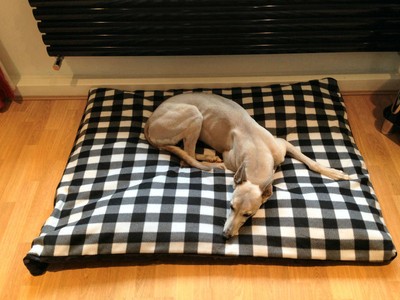 kosipet dog beds