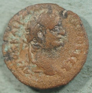 Roman Provincial ae23 Bronze Diobol Coin of Domitian EAGLE @5434