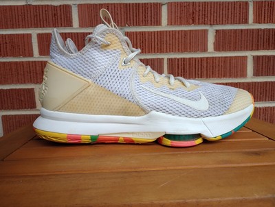 nike lebron witness 4 multicolor