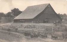 D47/ Occupational Real Photo RPPC Postcard c1910 Cattle Baughman Farm Barn 5