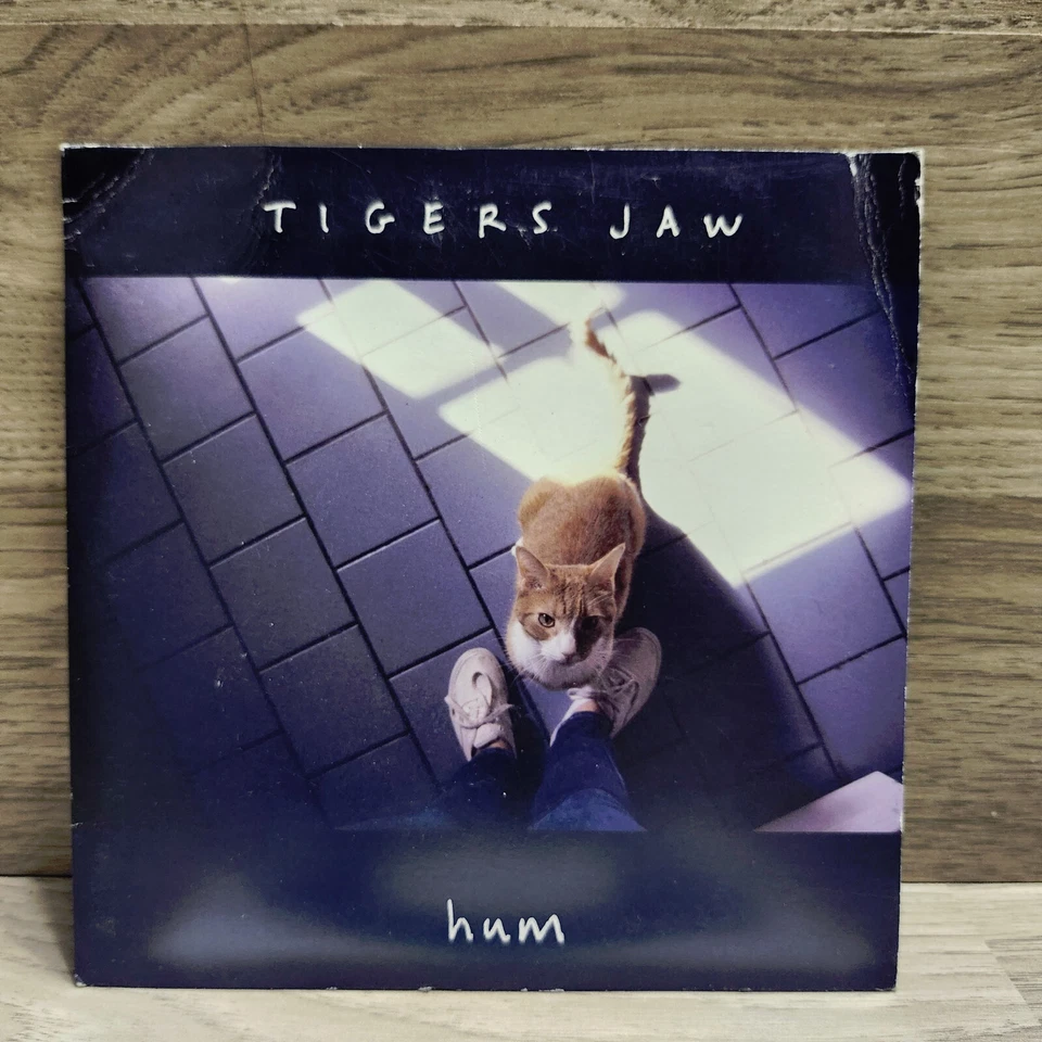 Tiger’s Jaw: Hum/Cool (Single, 2013) Run For Cover Records - Image 3 of 4