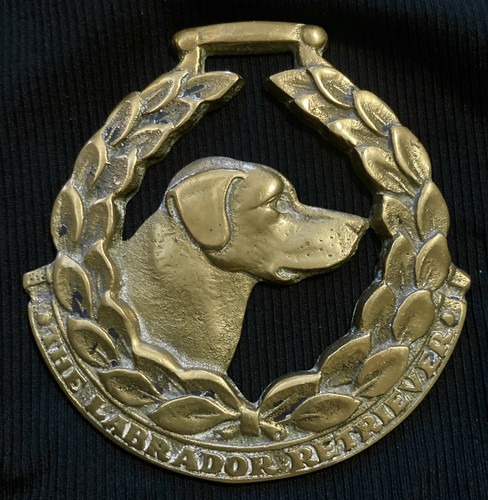 Oversized THE LABRADOR RETRIEVER Horse Brass•JEE• DOG LOVER• WOW YOUR WALLS!