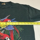 Foto 6 di 11