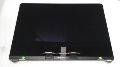 Genuine Apple LCD Screen Assembly 16" MacBook Pro A2141 2019 2020 Replacement - Image 1 of 4