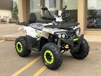 ATV Gio Blazer 200HS Top-Quality Product At An Affordable Price!