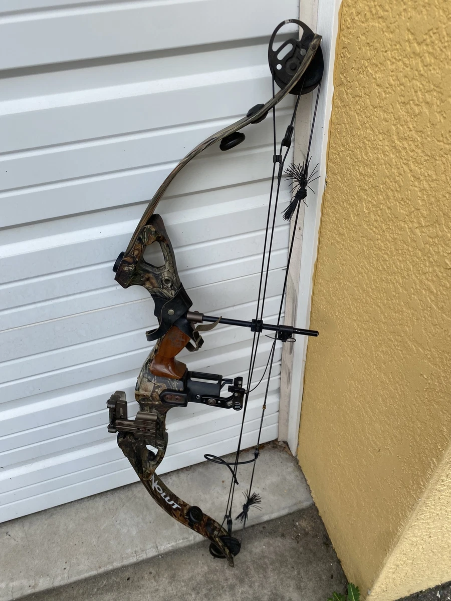 Golden eagle bows online