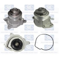 Saleri SIL Wasserpumpe FüR VW Polo 6R 6C 6R1 6C1 Golf VI 5K1 5M1 521 5C7