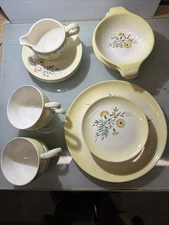 Taylor, Smith & Taylor Shasta Daisy 4Cups, 4Saucers 4Soup Bowls, 4Salad Plates +