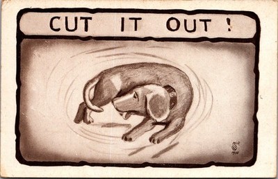 CUT IT OUT! Dog Chasing Tail animal HUMOR comic ART Postcard
