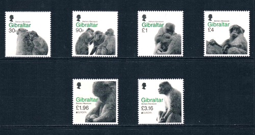 1/3 off $31.00 Scott Value - 2020-21 GIBRALTAR Macaques both sets Ape MNH NH UMM - Picture 3 of 4