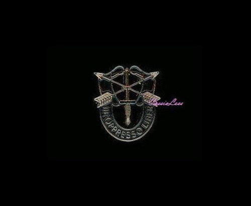 Army Special Forces Badge + a custom promo pin 