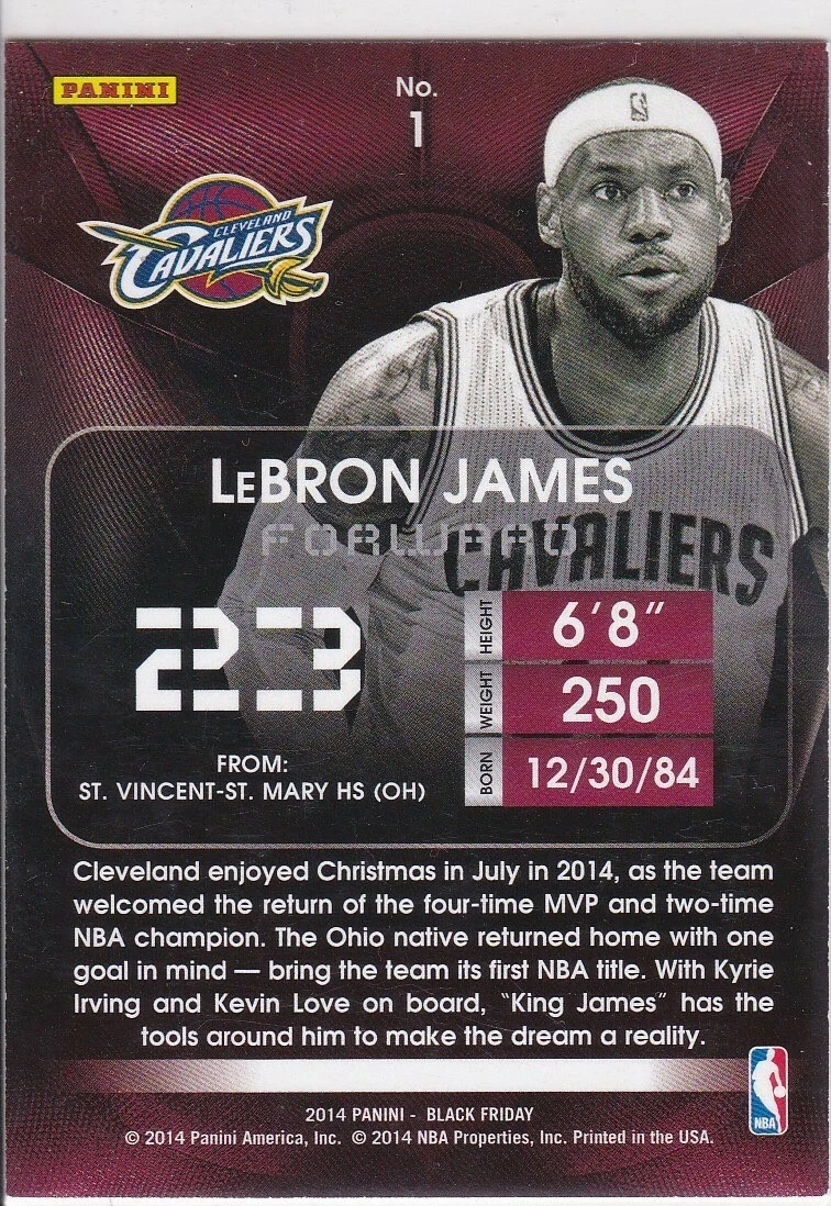 Lebron james jersey store black friday
