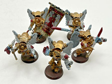 Warhammer 40K Blood Angels 🩸 Sanguinary Guards Space Marines Army Lot Painted