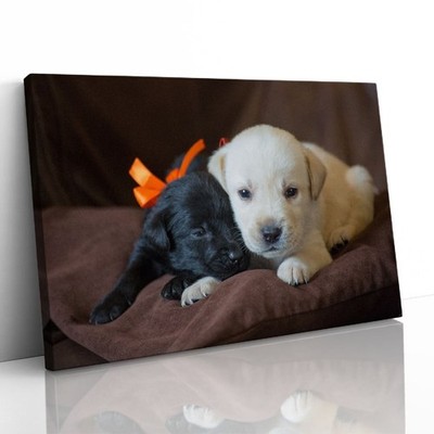 Niedliche Labrador Welpen Nahaufnahme Leinwand gerahmter Druck Bild Wandbild