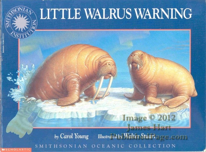 Little Walrus Warning (Smithsonian Oceanic Collection) by Young, Carol, Acceptab