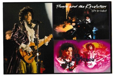 Prince and the Revolution 4 x 6 Custom Novelty Blank Back Print Card