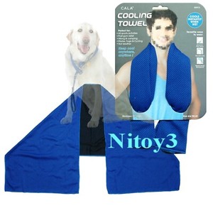 Cala Cooling Towel Unisex Size: 39 x 12”