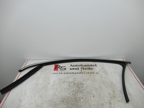 VW Passat 3C B6 Fensterführung Dichtung Tür vorne links 3C4837431F