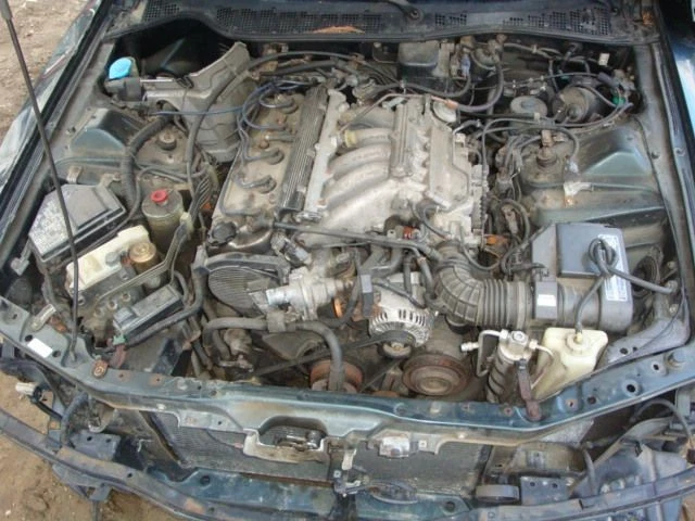 Passenger Right Tail Light Fits 95-98 TL 284238 - Image 2 of 4