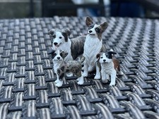 Custom Border Collie Family