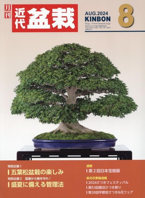 Japanese Bonsai Magazine KINBON 2024.8 Kindai Bonsai