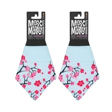 Pack of 2 Max & Molly Bandana for Cats & Dog's (Cherry Bloom) - X-Small-Small