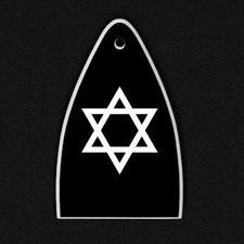 GUITAR TRUSS ROD COVER Engraved Etch Fit Paul Reed Smith PRS USA - STAR OF DAVID