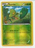 Treecko 6/160 - Primal Clash - Reverse Holo - Pokémon TCG - LP