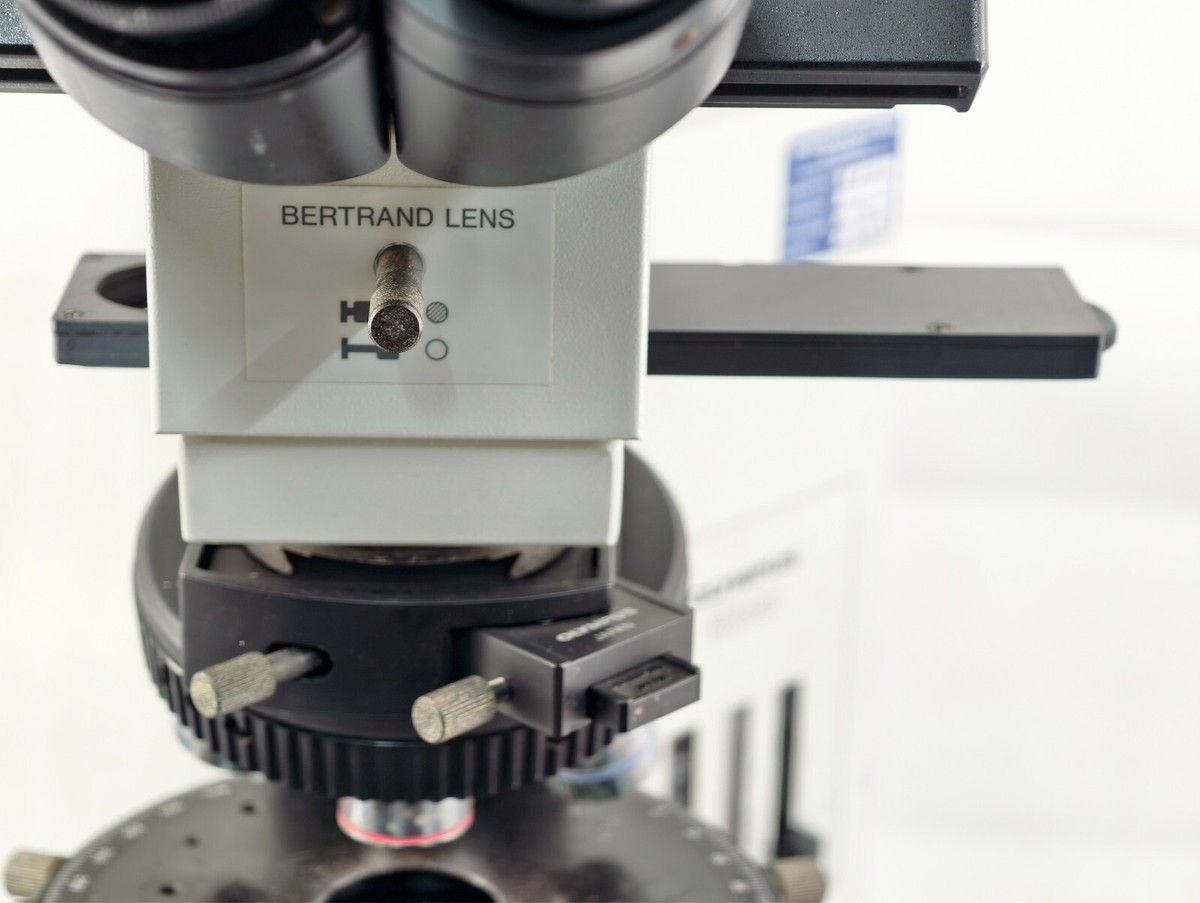 アンプル POM アンプル pom Japan Technology SPINGEAR