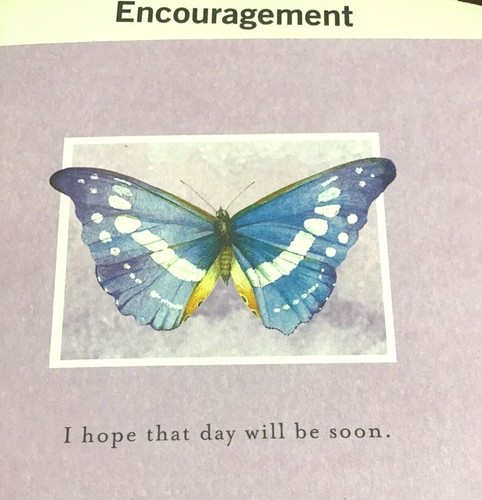 ENCOURAGEMENT Cards For FRIEND, Nature's Sketchbook brand 3 styles Hallmark NS35 - Picture 11 of 12
