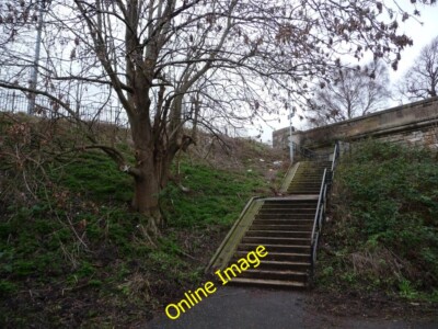 Photo 6x4 X marks the spot on Goldenacre Path Broughton/NT2575 Tree mark c2014