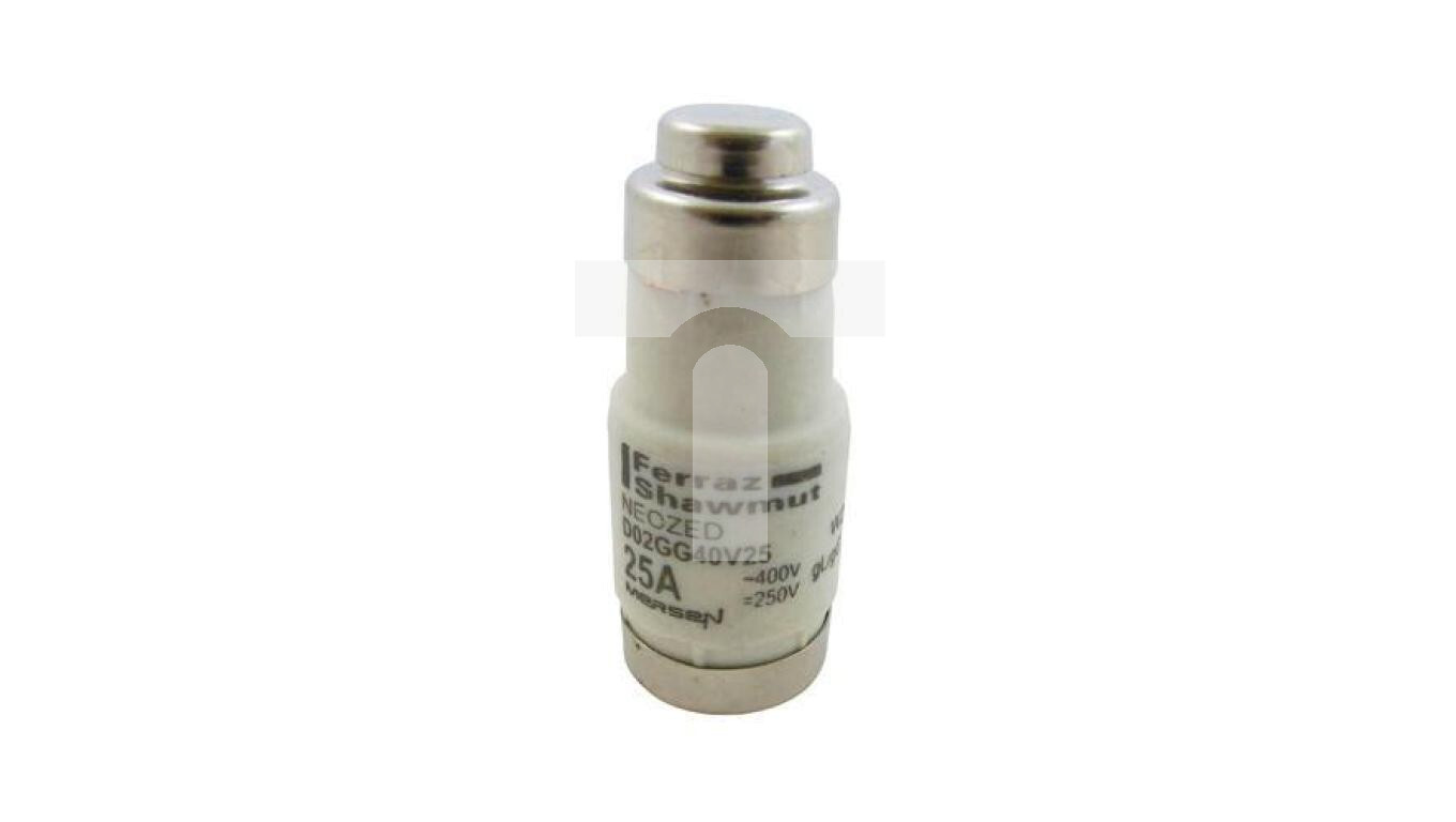 Fuse insert D02 gG 400VAC /250VDC 25A W213160 /T2UK