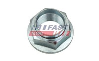Mutter Achszapfen Fast FT26033 FüR Ducato Fiat Bus Combinato Cat Panorama 4X4 1