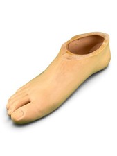 Blatchford Endolite prosthetic foot shell footshell, right, size 25.