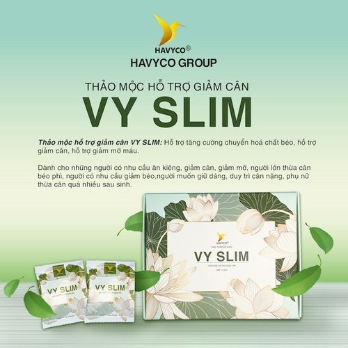 4 Boxes VY SLIM Herbal Weight Loss Fat Burner Detox Pill - Giam can Vy Slim - Picture 3 of 12