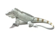 Kaiyodo Takara Tomy Arts  Japan Exclusive Iguana Lizard Figure B
