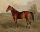Victorian Bay Horse Painting Reproduction Giclee Print on Fine Art Paper