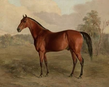 Victorian Bay Horse Painting Reproduction Giclee Print on Fine Art Paper