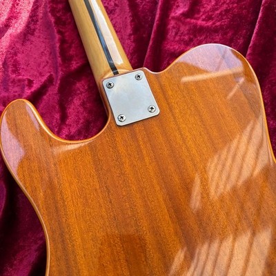 メンテ済 70s JV Franpton Telecaster Thinline Serviced 70s JV Franpton Telecaster Thinline | eBay