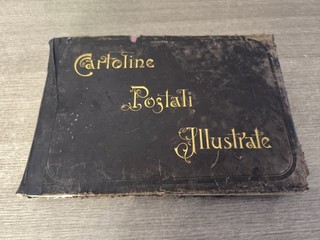 Spettacolare collezione di 272 cartoline di fiori e frutta dei primi del '900