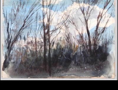 Original 1900 American School Watercolor on Paper Nature Study signed monogram